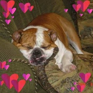 Meet your Posher, Jacqueline